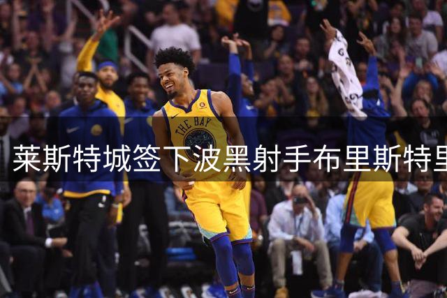 莱斯特城签下波黑射手布里斯特里奇